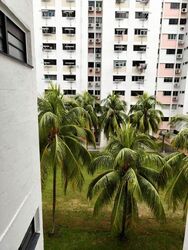 Blk 365 Clementi Avenue 2 (Clementi), HDB 3 Rooms #621184241